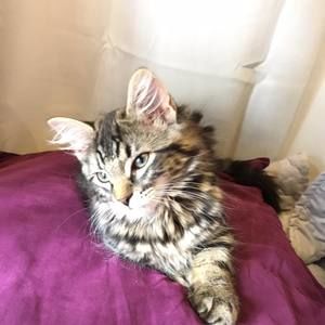 Meet your Posher, Mary